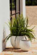 CAMPANA AMEL GLAZED – Image 2
